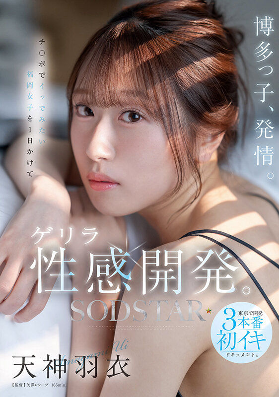 作品ジャケット